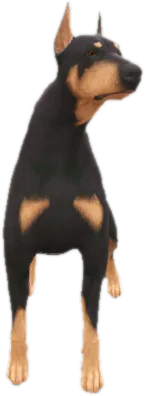 Transparent PNG of the GTA V ped doberman