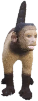 Transparent PNG of the GTA V ped ft_capmonkey