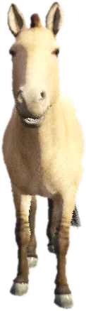 Transparent PNG of the GTA V ped ft_horse