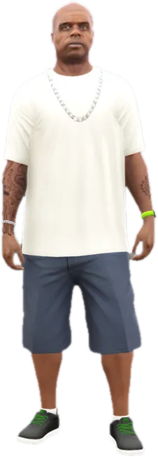 Transparent PNG of the GTA V ped ig_stretch
