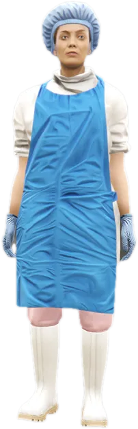 Transparent PNG of the GTA V ped mp_f_meth_01