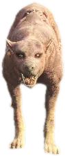 Transparent PNG of the GTA V ped nw_burnedlion