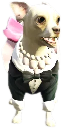 Transparent PNG of the GTA V ped nw_kunigunde
