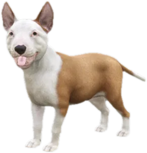 Transparent PNG of the GTA V ped sky_bull_terrier_puppy_2