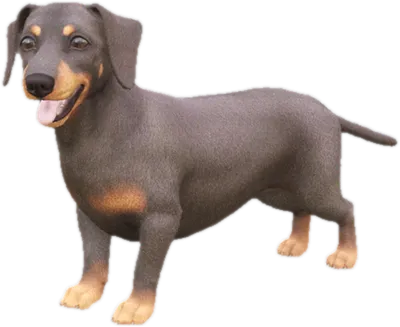 Transparent PNG of the GTA V ped sky_dachshund_1