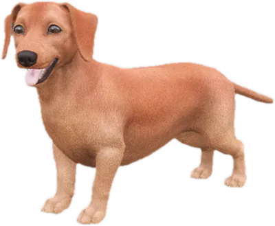 Transparent PNG of the GTA V ped sky_dachshund_2