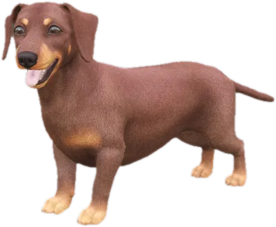 Transparent PNG of the GTA V ped sky_dachshund_3