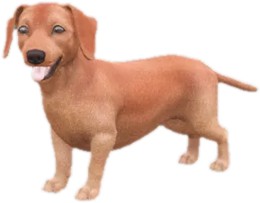 Transparent PNG of the GTA V ped sky_dachshund_puppy_2