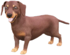 Transparent PNG of the GTA V ped sky_dachshund_puppy_3