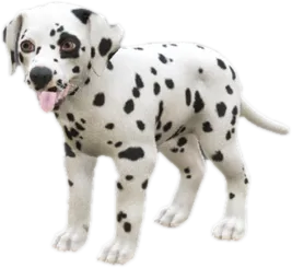 Transparent PNG of the GTA V ped sky_dalmatian_puppy_1
