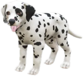 Transparent PNG of the GTA V ped sky_dalmatian_puppy_2
