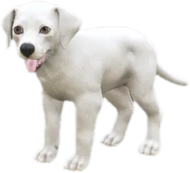 Transparent PNG of the GTA V ped sky_dalmatian_puppy_3