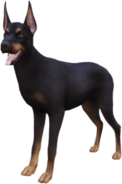 Transparent PNG of the GTA V ped sky_doberman_3