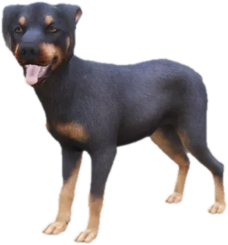 Transparent PNG of the GTA V ped sky_doberman_puppy_1