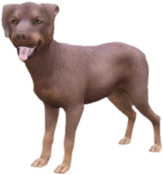 Transparent PNG of the GTA V ped sky_doberman_puppy_2