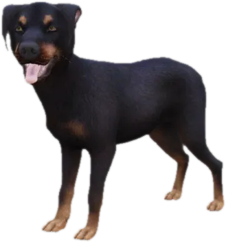 Transparent PNG of the GTA V ped sky_doberman_puppy_3