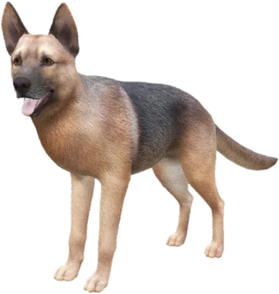Transparent PNG of the GTA V ped sky_german_shepherd_1