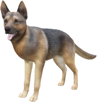 Transparent PNG of the GTA V ped sky_german_shepherd_2