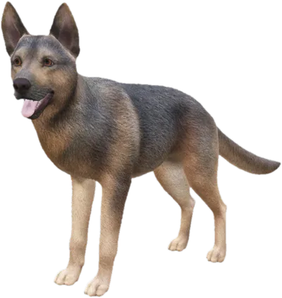 Transparent PNG of the GTA V ped sky_german_shepherd_3