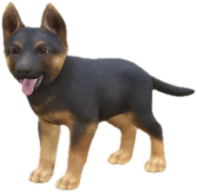 Transparent PNG of the GTA V ped sky_german_shepherd_puppy_1