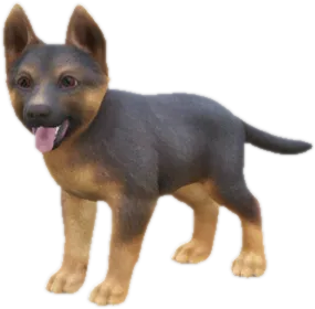 Transparent PNG of the GTA V ped sky_german_shepherd_puppy_2
