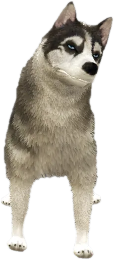 Transparent PNG of the GTA V ped sky_gta_husky