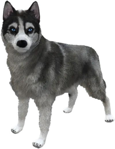 Transparent PNG of the GTA V ped sky_gta_husky_1