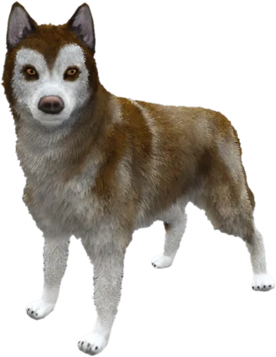 Transparent PNG of the GTA V ped sky_gta_husky_2