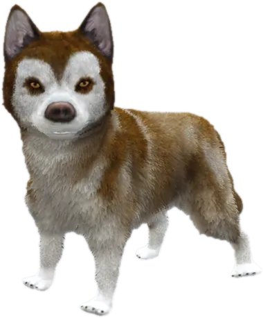 Transparent PNG of the GTA V ped sky_gta_husky_puppy_2