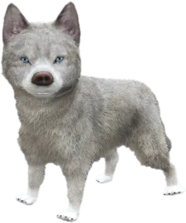 Transparent PNG of the GTA V ped sky_gta_husky_puppy_3