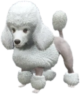Transparent PNG of the GTA V ped sky_gta_poodle_puppy_1
