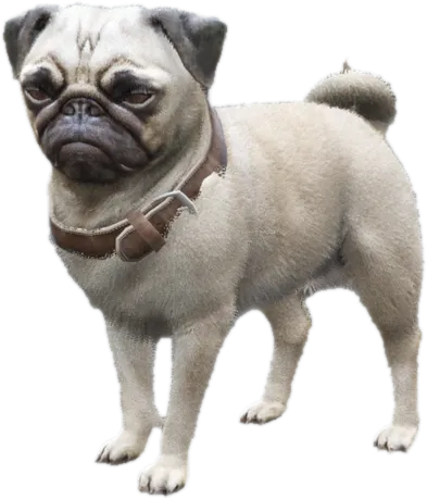 Transparent PNG of the GTA V ped sky_gta_pug_1