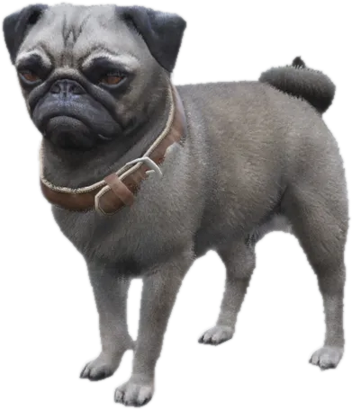 Transparent PNG of the GTA V ped sky_gta_pug_2