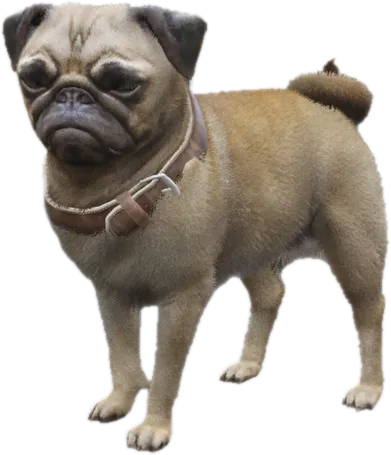 Transparent PNG of the GTA V ped sky_gta_pug_3