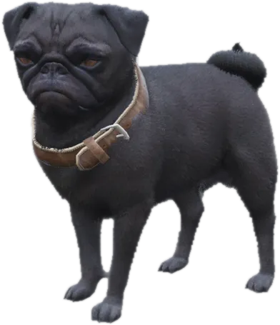 Transparent PNG of the GTA V ped sky_gta_pug_4