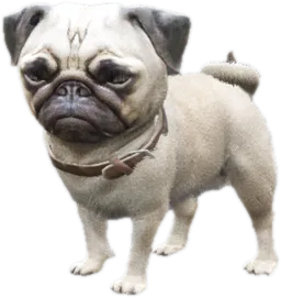 Transparent PNG of the GTA V ped sky_gta_pug_puppy_1
