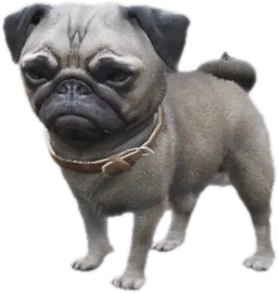 Transparent PNG of the GTA V ped sky_gta_pug_puppy_2