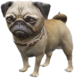 Transparent PNG of the GTA V ped sky_gta_pug_puppy_3