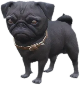 Transparent PNG of the GTA V ped sky_gta_pug_puppy_4