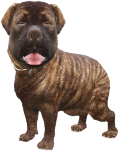 Transparent PNG of the GTA V ped sky_gta_rottweiler_puppy_4