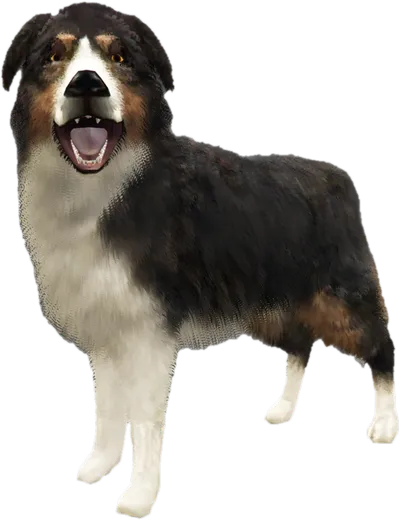 Transparent PNG of the GTA V ped sky_gta_shepherd_1