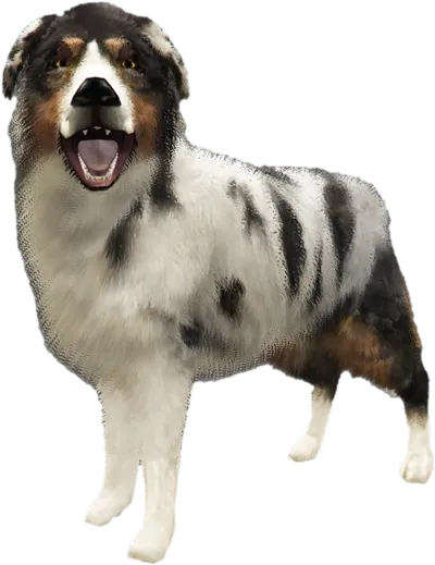 Transparent PNG of the GTA V ped sky_gta_shepherd_2