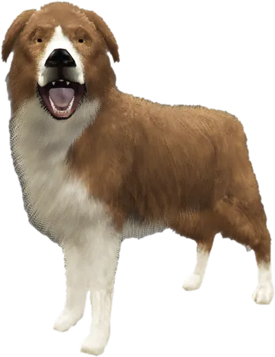 Transparent PNG of the GTA V ped sky_gta_shepherd_3