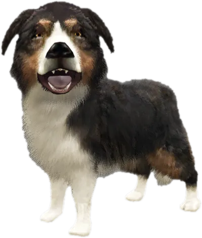 Transparent PNG of the GTA V ped sky_gta_shepherd_puppy_1