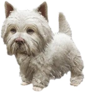 Transparent PNG of the GTA V ped sky_gta_westy_puppy_1