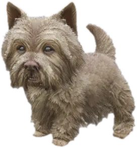 Transparent PNG of the GTA V ped sky_gta_westy_puppy_2