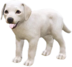 Transparent PNG of the GTA V ped sky_labrador_puppy_1
