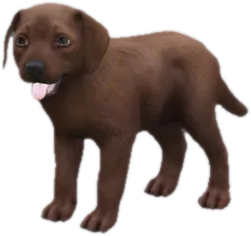 Transparent PNG of the GTA V ped sky_labrador_puppy_2
