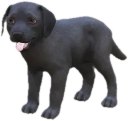 Transparent PNG of the GTA V ped sky_labrador_puppy_3