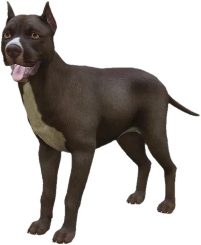 Transparent PNG of the GTA V ped sky_pitbull_2